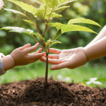 The Infinite Learner: Designing a Self-directed System for Constant Growth