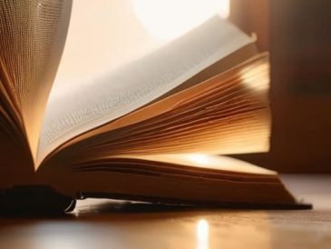 How curiosity makes you better company book.